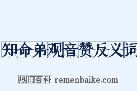 知命弟观音赞反义词是什么意思的图片